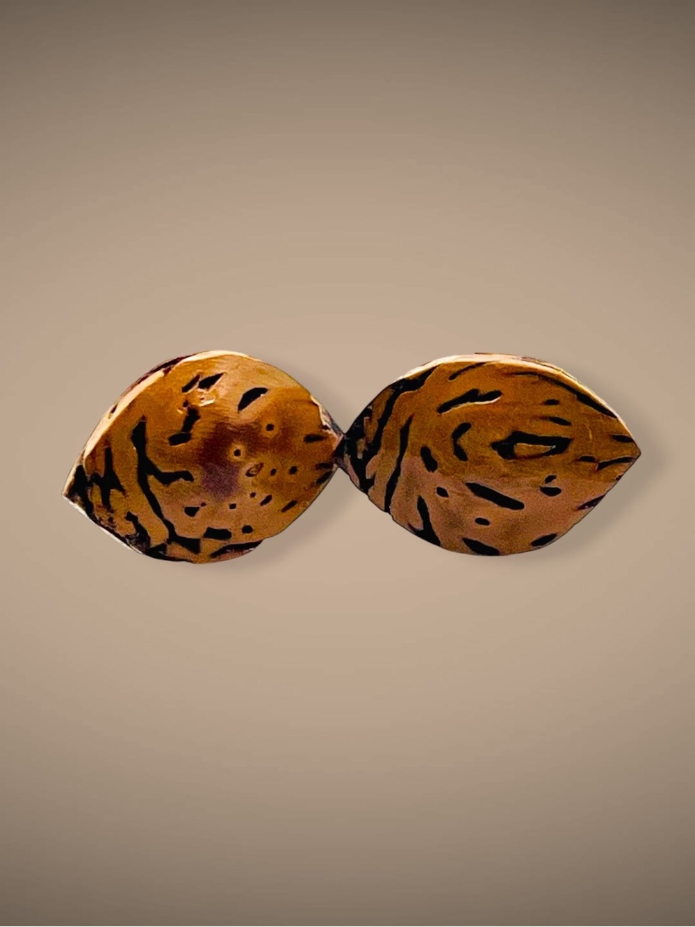 Rare Vintage Handmade Natural Seed Pod Bullet Back Cufflinks Speckled Organic